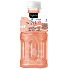 Nata De Coco Juice (320ml)